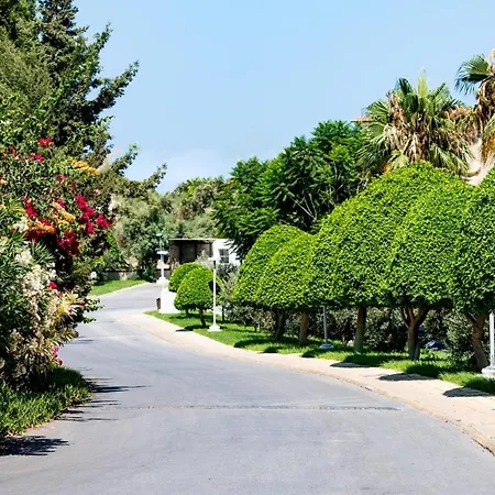 מלון Vuni Palace Luxury & Beach Club & Casino 5*